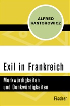 Alfred Kantorowicz - Exil in Frankreich