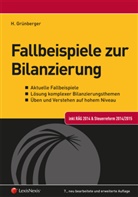 Herbert Grünberger - Fallbeispiele zur Bilanzierung
