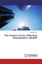 Gyendur Lopez - The Various Forms Affecting Shareholder's Wealth