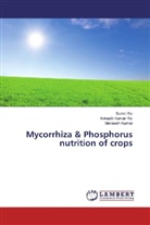 Maneesh Kumar, Avinas Kumar Rai, Avinash Kumar Rai, Sumi Rai, Sumit Rai - Mycorrhiza & Phosphorus nutrition of crops