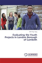 Shih Ying Tseng - Evaluating the Youth Projects in London Borough of Lambeth
