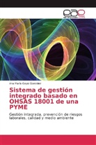 Ana María Gayol González - Sistema de gestión integrado basado en OHSAS 18001 de una PYME
