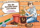 Jeanette Boetius, Mile Penava - Wie die Kartoffel keimt und wächst, Kamishibai Bildkartenset