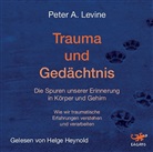 Peter A Levine, Peter A. Levine, Helge Heynold - Trauma und Gedächtnis, 1 MP3-CD (Audiolibro)