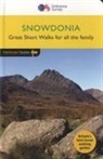 Terry Marsh - Snowdonia