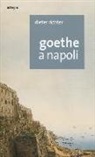 Dieter Richter - Goethe a Napoli