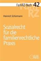 Heinrich Schürmann - Sozialrecht für die familienrechtliche Praxis