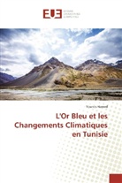 Younes Hamed - L'Or Bleu et les Changements Climatiques en Tunisie