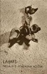 Benjamin D. Meritt, Judith Perlzweig, Judith Pertzweig - Lamps from the Athenian Agora