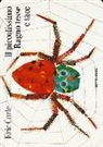 Eric Carle - Il piccolissimo ragno tesse e tace