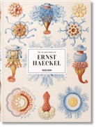 Ernst Haeckel, Julia Voss, Raine Willmann, Rainer Willmann - The art and science of Ernst Haeckel