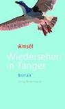 Amsél - Wiedersehen in Tanger