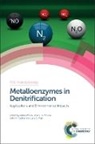 Isabel Moura, Isabel (Universidade Nova de Lisboa Moura, Isabel Moura Moura, Luisa B Maia, Luisa B (Universidade Nova de Lisboa Maia, Luisa B. Maia... - Metalloenzymes in Denitrification