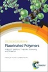 Bruno (Institut Charles Gerhardt Ameduri, Bruno Sawada Ameduri, Bruno Ameduri, Bruno (Institut Charles Gerhardt Ameduri, Bruno Améduri, Toshio Masuda... - Fluorinated Polymers