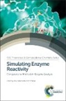 Inaki Tunon, Inaki (Universidad de Valencia Tunon, Inaki Moliner Tunon, Prof. Inaki (Universidad De Valencia Tunon, Prof. Vicent (Universitat Jaume I Moliner, Vicent Moliner... - Simulating Enzyme Reactivity