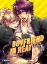 Sakira, Sakira - Boyfriend in Heat