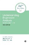 Larry D Schroeder, Larry D (Syracuse University) Sjoquist Schroeder, Larry D. Schroeder, Larry D. D. Schroeder, Larry D. D. Sjoquist Schroeder, Larry D. Sjoquist Schroeder... - Understanding Regression Analysis