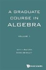 Ioannis Farmakis, Ioannis Farmakis, Ioannis Farmakis &amp; Martin Moskowitz, Martin Moskowitz, Martin Moskowitz - GRADUATE COURSE ALGEBRA (V1)