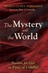 Maria Clara Bingemer - The Mystery and the World