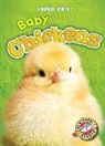 Megan Borgert-Spaniol, Megan Borgert Spaniol - Baby Chickens