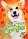 Christina Leighton - Pembroke Welsh Corgis