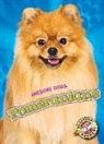 Domini Brown - Pomeranians