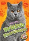 Christina Leighton - British Shorthairs