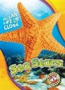 Rebecca Pettiford - Sea Stars