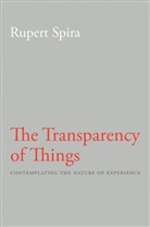 Rupert Spira - Transparency of Things