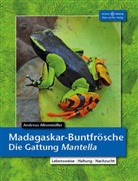 Andreas Altenmüller - Madagaskar-Buntfrösche