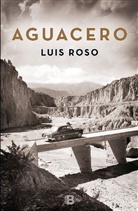 Luis Julián García Roso, Luis Roso - Aguacero / Rainstorm