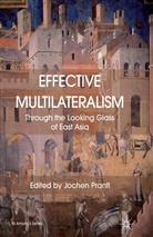 Jochen Prantl, Prantl, J Prantl, J. Prantl, Jochen Prantl - Effective Multilateralism