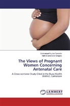 Halle Ekane Edie Gregory, Emmanue Njuma Tamufor, Emmanuel Njuma Tamufor - The Views of Pregnant Women Concerning Antenatal Care