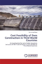 Muhammad Raza - Cost Feasibility of Dam Construction in Third World Countries