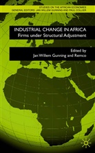 Jan Willem Oostendorp Gunning, R. H. Oostendorp, University of Zimbabwe, Vrije Universiteit Amsterdam, Gunning, J Gunning... - Industrial Change in Africa