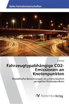 Lisa Mai - Fahrzeugtypabhängige CO2-Emissionen an Knotenpunkten