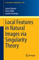 Jame Damon, James Damon, Pete Giblin, Peter Giblin, Gareth Haslinger - Local Features in Natural Images via Singularity Theory
