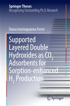 Diana Iruretagoyena Ferrer - Supported Layered Double Hydroxides as CO2 Adsorbents for Sorption-enhanced H2 Production