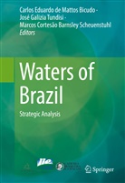 Carlos Eduardo de Mattos Bicudo, Cortesão Barnsley Scheuenstu, Marcos Cortesão Barnsley Scheuenstuhl, Carlos Eduardo de Mattos Bicudo, Jos Galizia Tundisi, José Galizia Tundisi... - Waters of Brazil