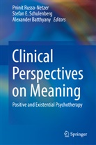 Alexander Batthyany, Alexander Batthyány, Stefa E Schulenberg, Stefan E Schulenberg, Pninit Russo-Netzer, Stefan E. Schulenberg - Clinical Perspectives on Meaning