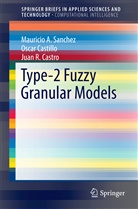 Osca Castillo, Oscar Castillo, Juan R Castro, Juan R. Castro, Mauricio Sanchez, Mauricio A Sanchez... - Type-2 Fuzzy Granular Models