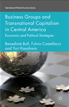 B. Bull, Benedict Bull, Benedicte Bull, Benedicte Castellacci Bull, Castellacci, F Castellacci... - Business Groups and Transnational Capitalism in Central America