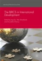 Alex Chenoy Shankland, Anuradha Chenoy, Jing Gu, Ale Shankland, Alex Shankland - Brics in International Development