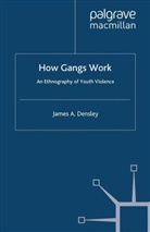 J Densley, J. Densley, James A Densley, James a Densley Densley - How Gangs Work