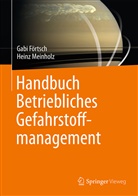 Gab Förtsch, Gabi Förtsch, Heinz Meinholz - Handbuch Betriebliches Gefahrstoffmanagement