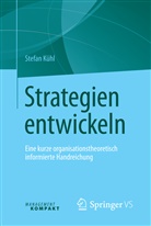 Stefan Kühl - Strategien entwickeln