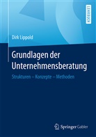 Dirk Lippold - Grundlagen der Unternehmensberatung