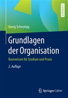 Georg Schreyögg - Grundlagen der Organisation