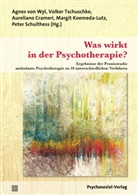 Agnes von Wyl, Aur Crameri, Aureliano Crameri, Aureliano Crameri u a, Margit Koemeda-Lutz, Peter Schulthess... - Was wirkt in der Psychotherapie?