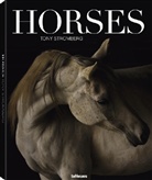 Tony Stromberg - Horses